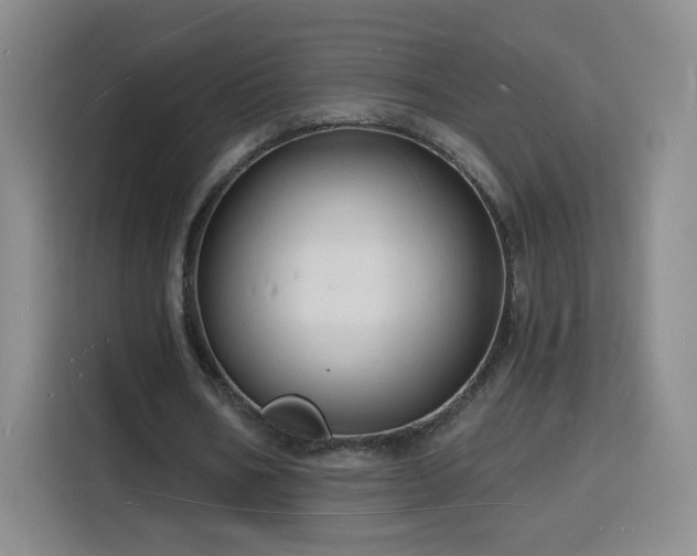 X0000116130578200911231237