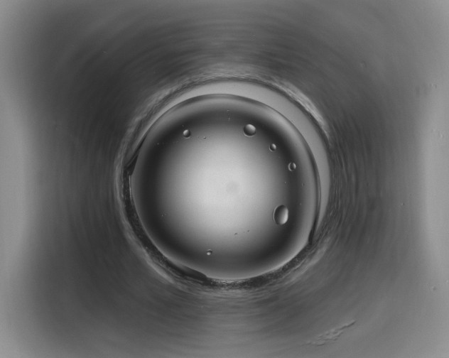 X0000116130581200911231237