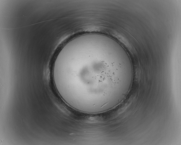 X0000116130584200911231237