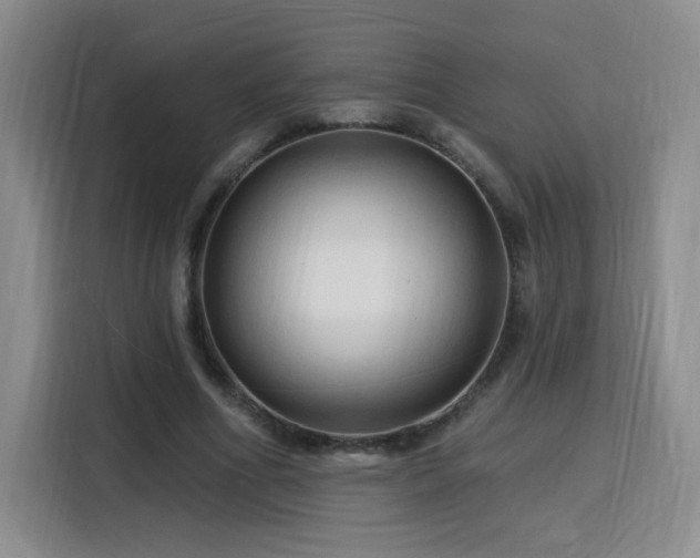 X0000116130586200911231237