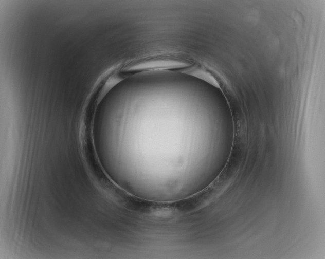 X0000116130587200911231237