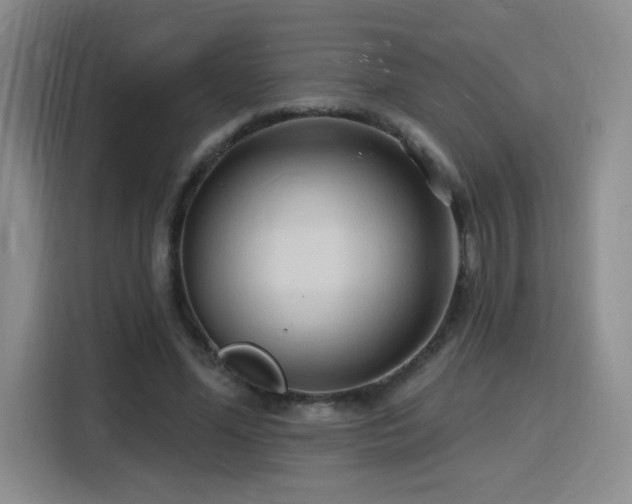 X0000116130588200911231237
