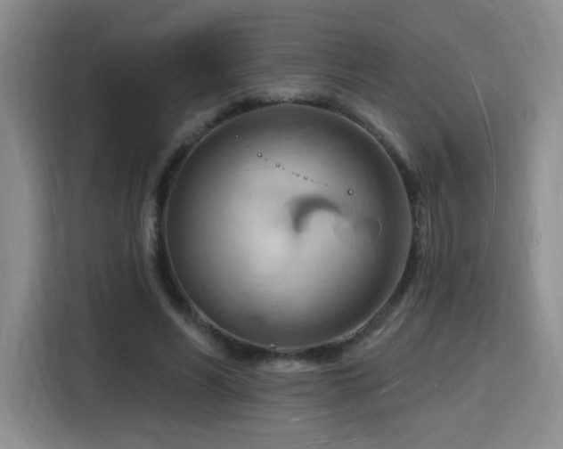 X0000116130590200911231237
