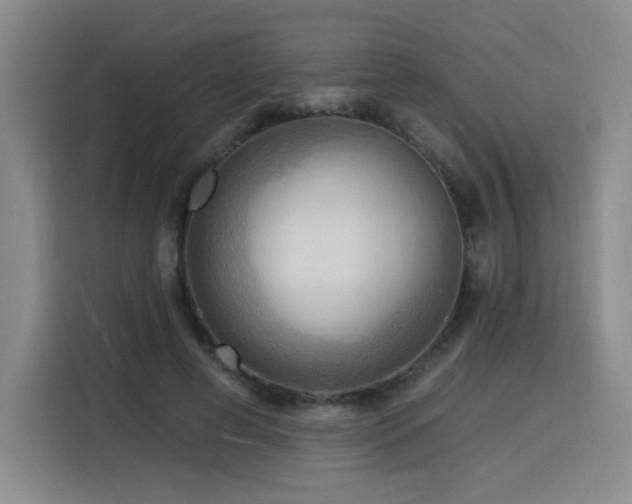 X0000116130593200911231237