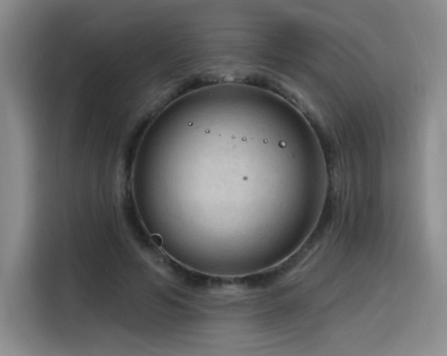 X0000116130594200911231237