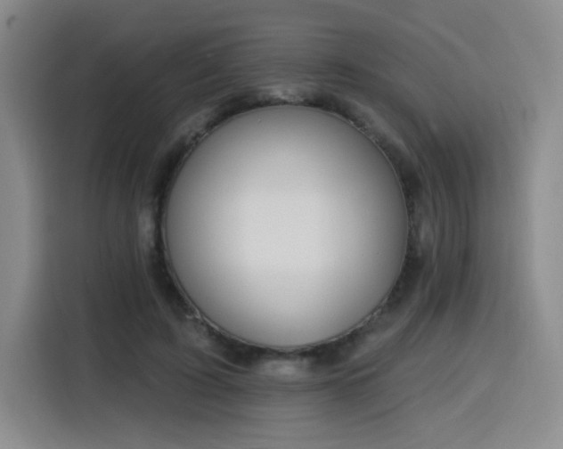 X0000116130595200911231237