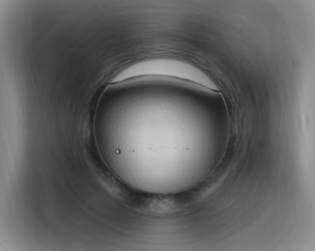 X0000116130599200911231237