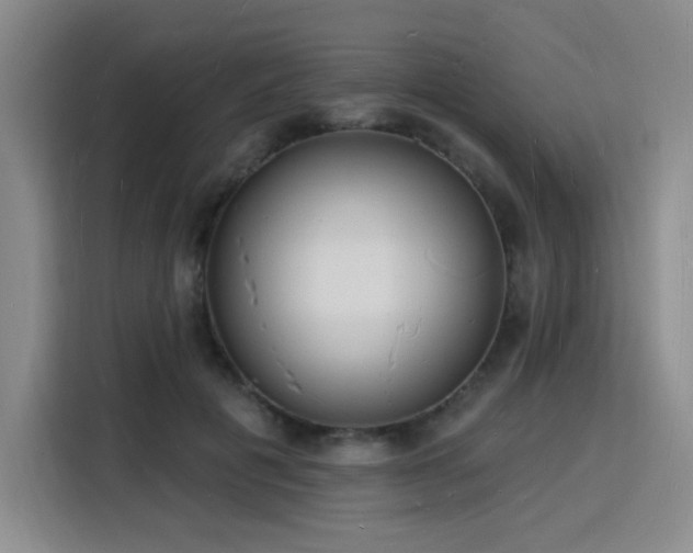 X0000116130601200911231237