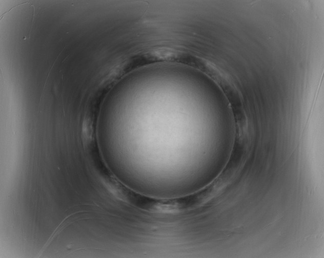 X0000116130606200911231237