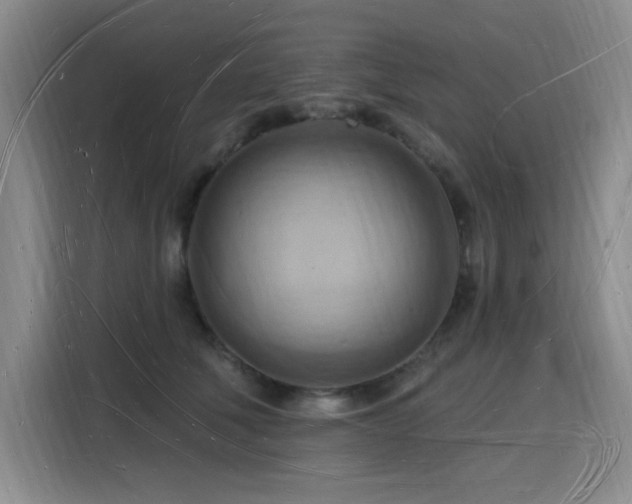 X0000116130610200911231236