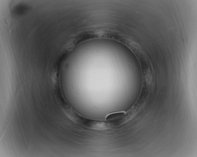 X0000116130611200911231236