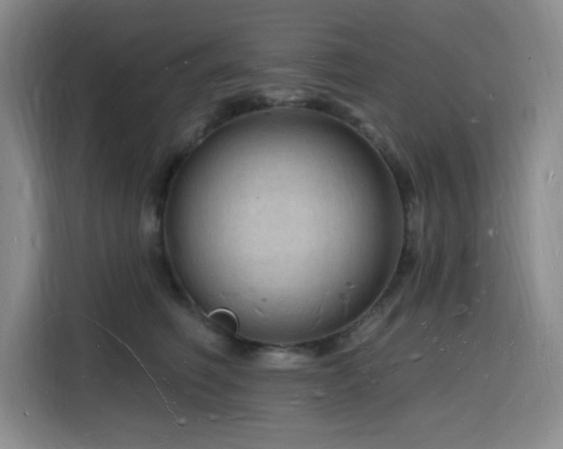 X0000116130614200911231236
