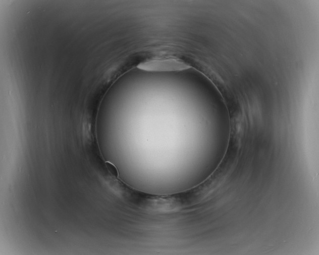 X0000116130615200911231236