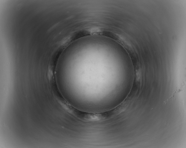 X0000116130618200911231236