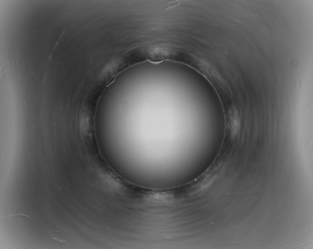 X0000116130619200911231236