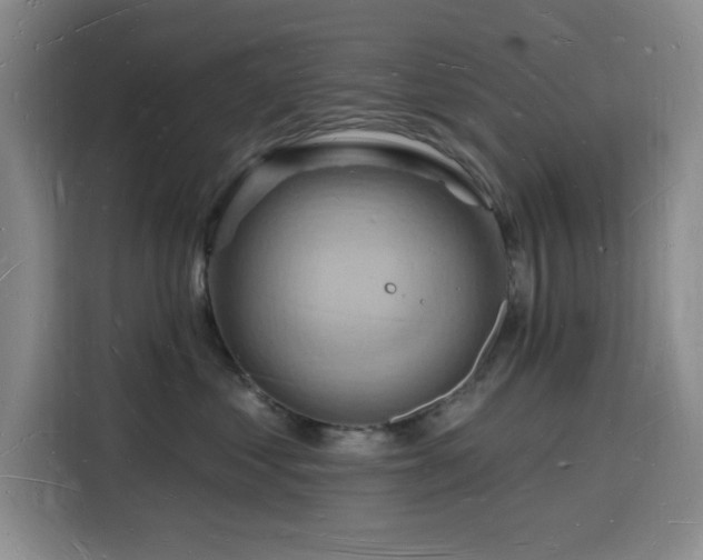 X0000116130621200911231236