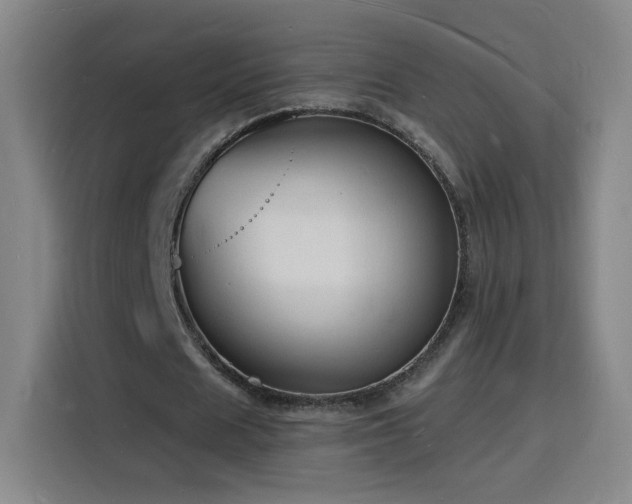 X0000116130625200911231236