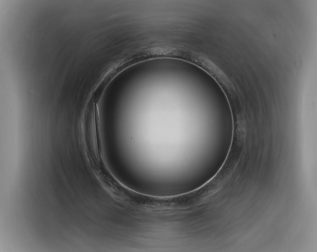 X0000116130626200911231236