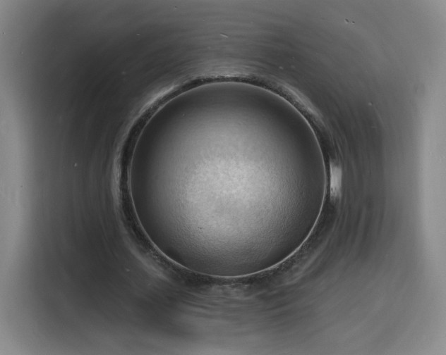 X0000116130627200911231236