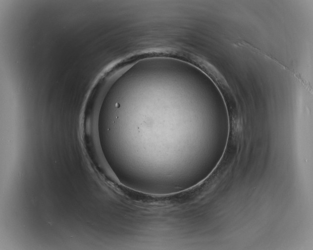 X0000116130628200911231236