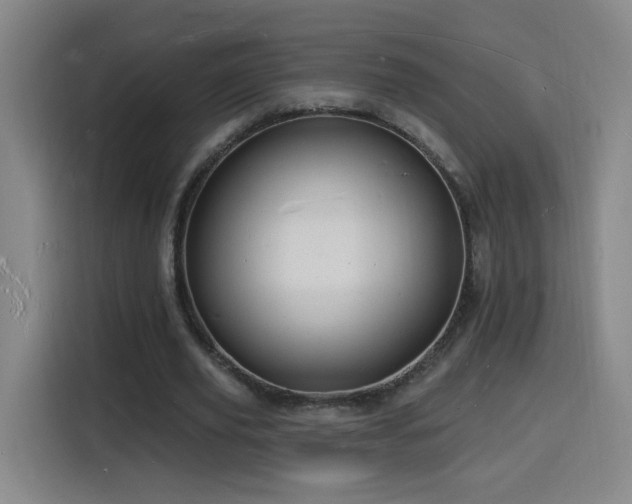 X0000116130629200911231236