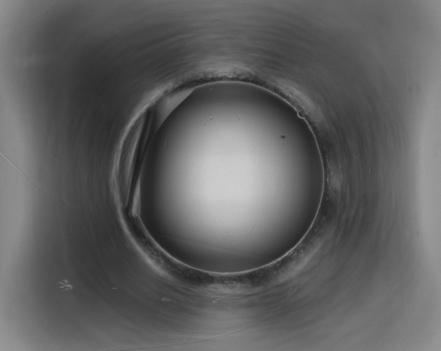 X0000116130630200911231236