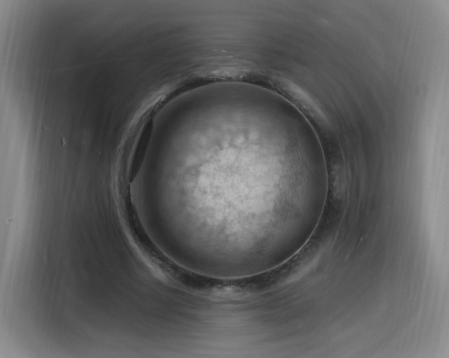 X0000116130634200911231236