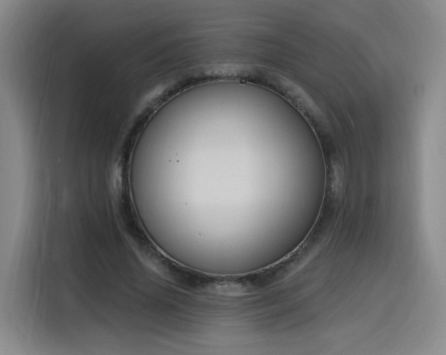 X0000116130636200911231236