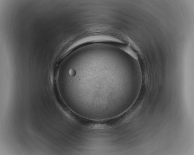 X0000116130637200911231236