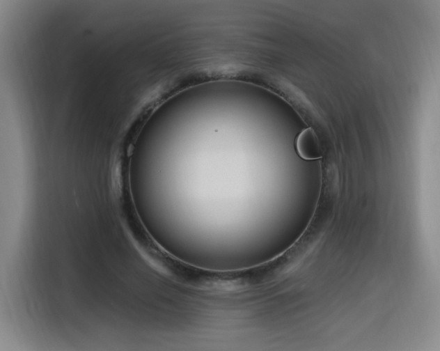 X0000116130638200911231236