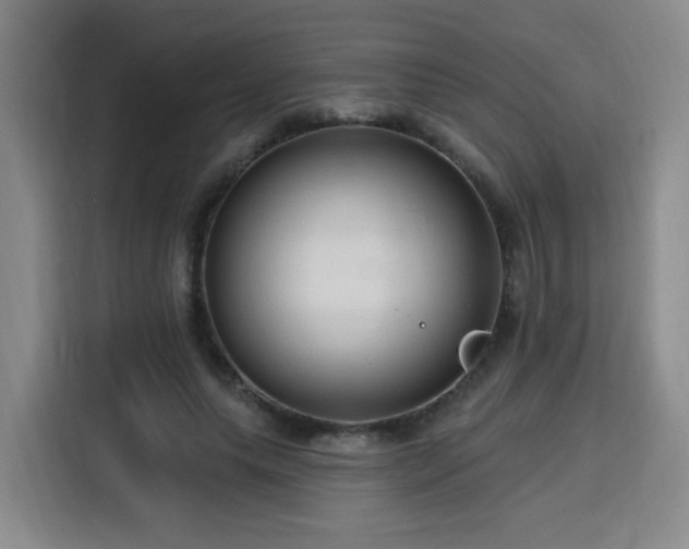 X0000116130639200911231236