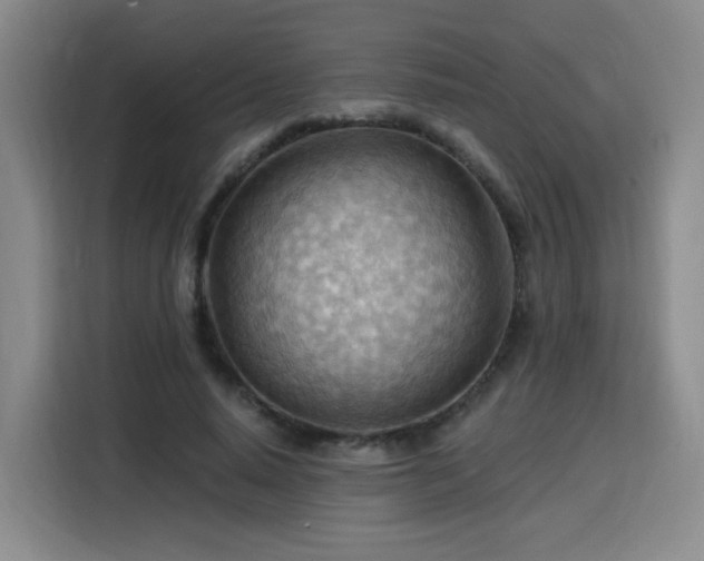 X0000116130640200911231236
