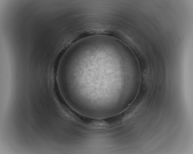 X0000116130642200911231236