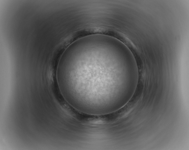 X0000116130643200911231236