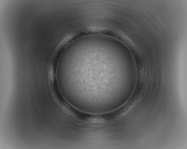 X0000116130644200911231236