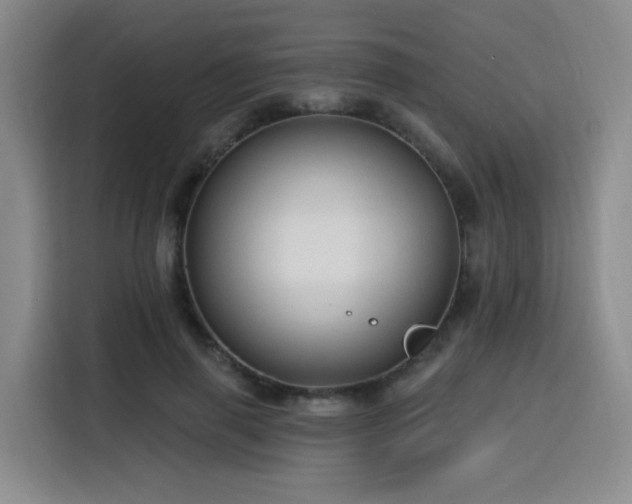 X0000116130645200911231236