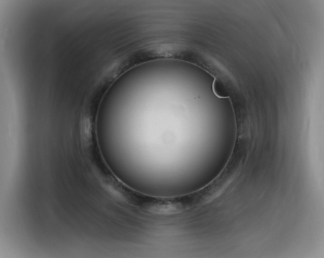 X0000116130646200911231236