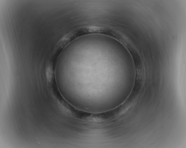X0000116130648200911231236