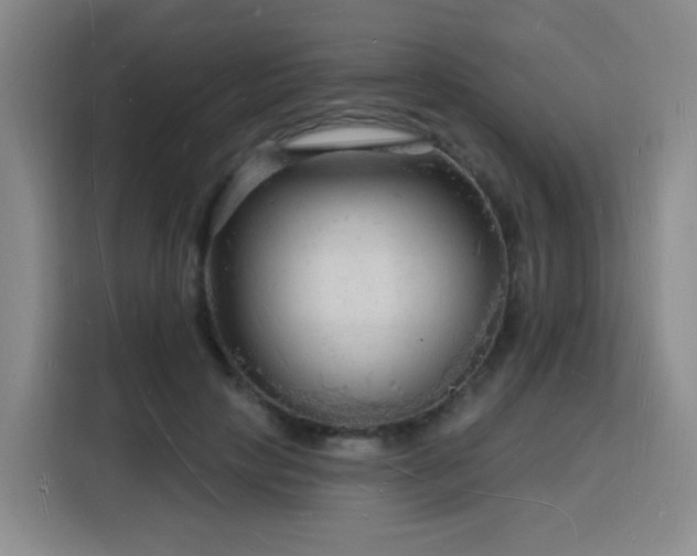 X0000116130649200911231236