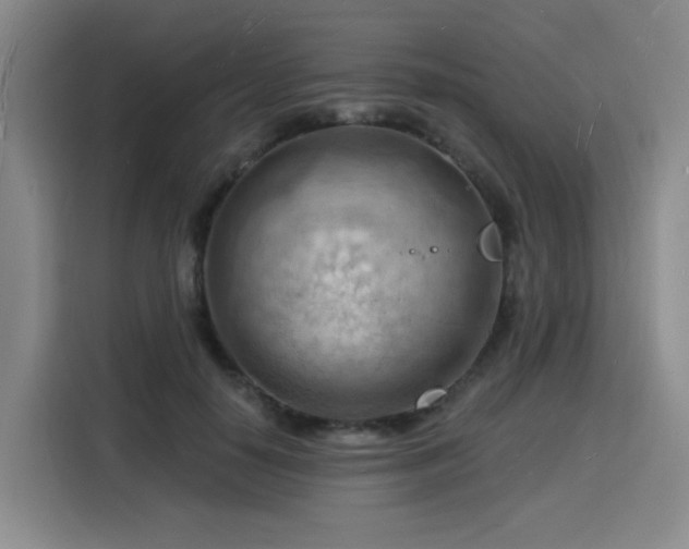 X0000116130650200911231236