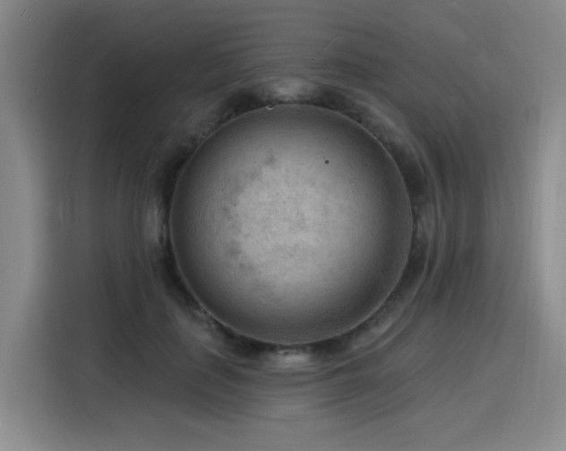 X0000116130651200911231236