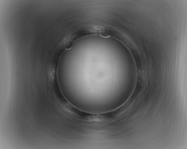 X0000116130652200911231236