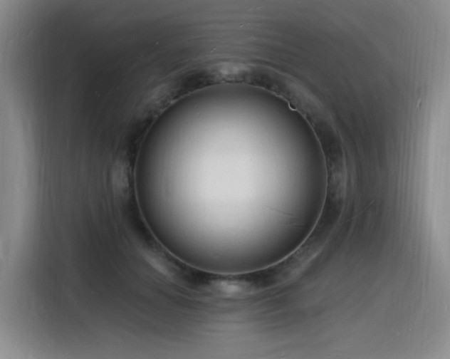 X0000116130654200911231236