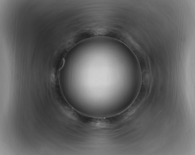 X0000116130655200911231236