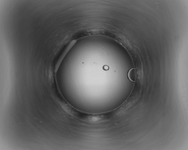 X0000116130662200911231236