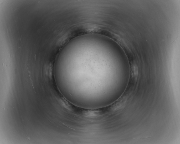 X0000116130664200911231236