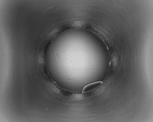 X0000116130665200911231236