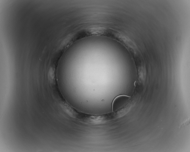 X0000116130667200911231236