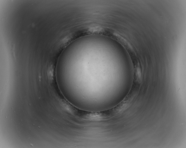 X0000116130668200911231236