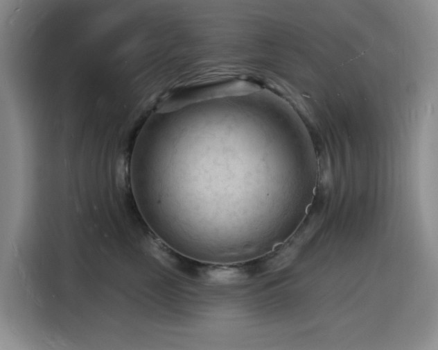 X0000116130669200911231236